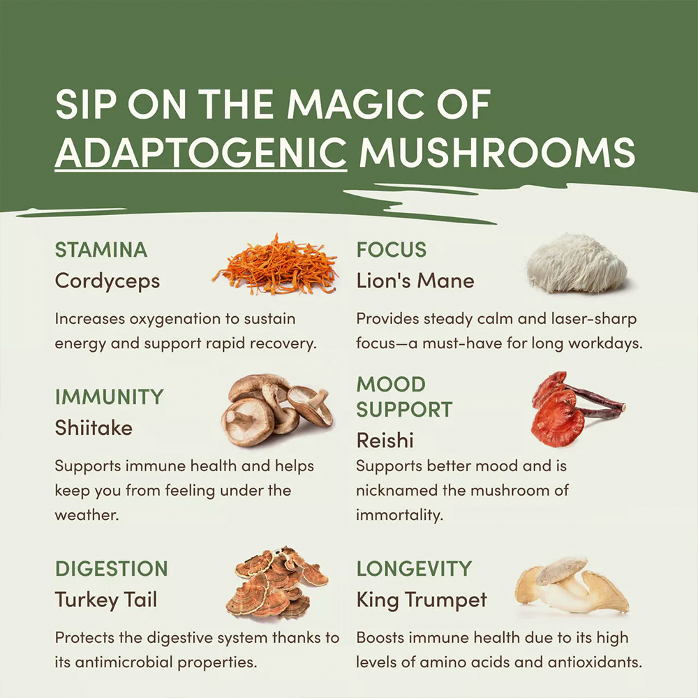 Mushroom Matcha