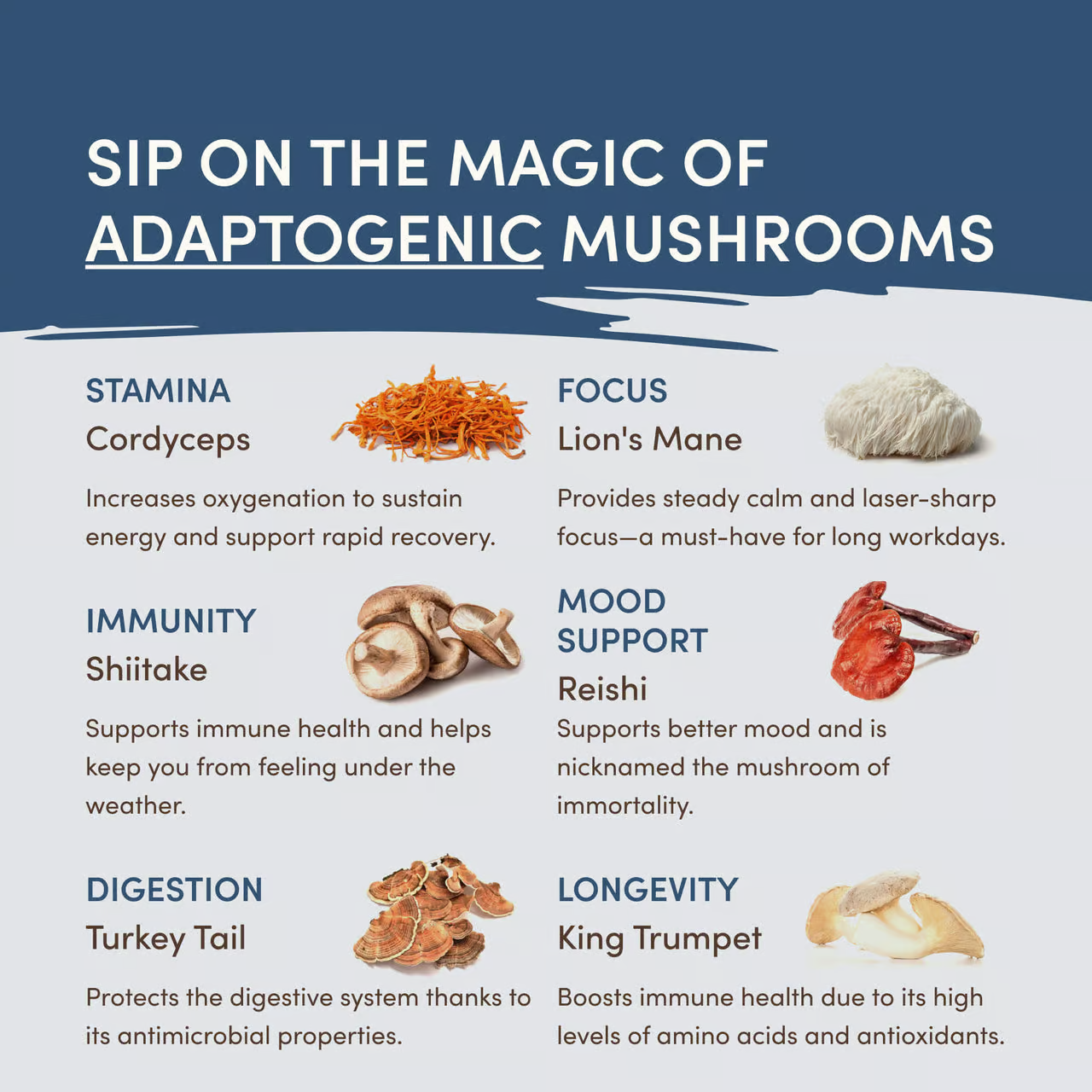 Mushroom Hot Cocoa