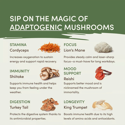 Mushroom Matcha